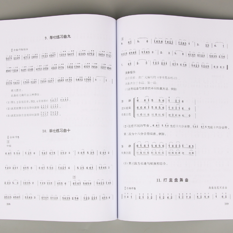 Dorosłe dzieci nastolatki Dizi – Musical Instrument Book recenzja i cena